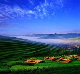 农村美景大爆料视频大全,美景视频大盘点